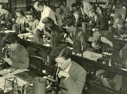 Students at work in the lab