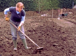 Preparing the ground for planting