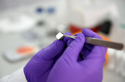 Scientist’s hand in purple latex glove holding swab in tweezers.