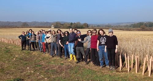Group of people in tree planting field